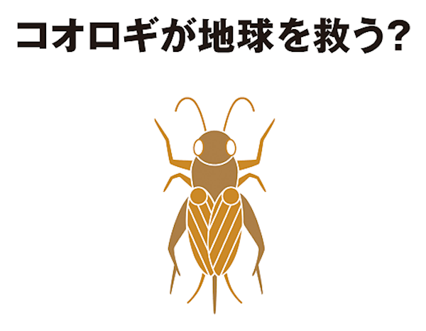 「無印良品」が昆虫食「コオロギせんべい」を徳島大学と開発　食料問題を啓発