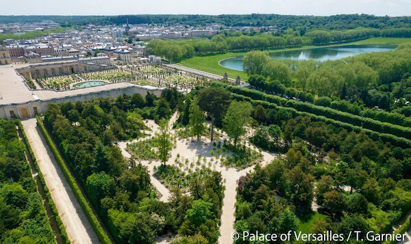 コーセーが仏・ヴェルサイユ宮殿の庭園修復事業に2258万円相当を寄付