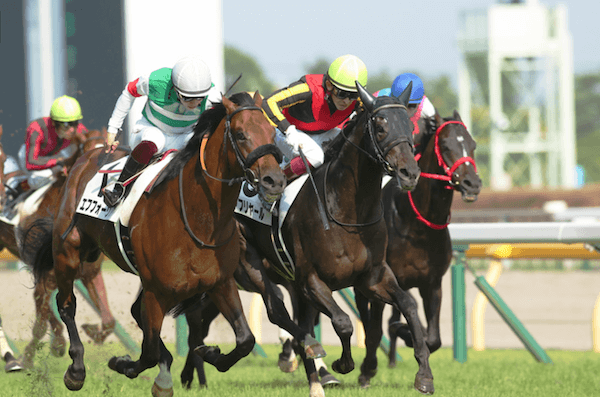 「ABCマート」創業者所有馬などが出走する話題のダービーは今週日曜日15時40分スタート