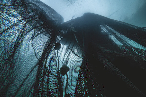 漁網からできた「パタゴニア」のダウンセーター