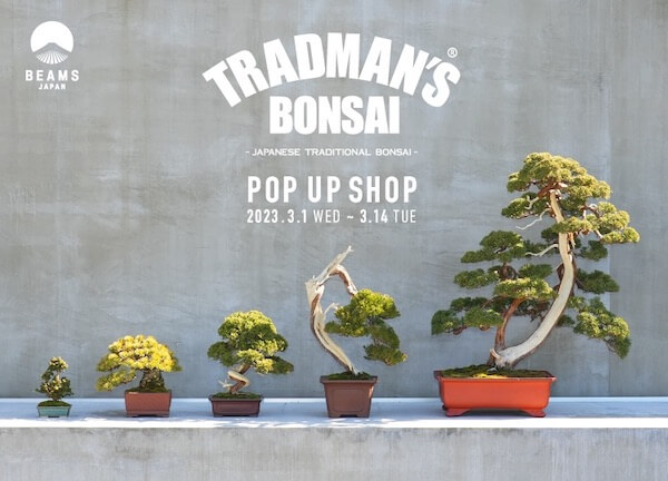 「ビームス ジャパン」が「トラッドマンズ 盆栽」とコラボしたポップアップを開催